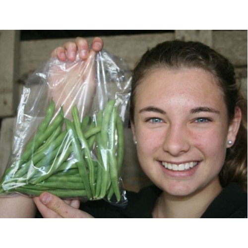 SPRAY FREE BEANS  250 Gram Bag  KATIKATI Grown